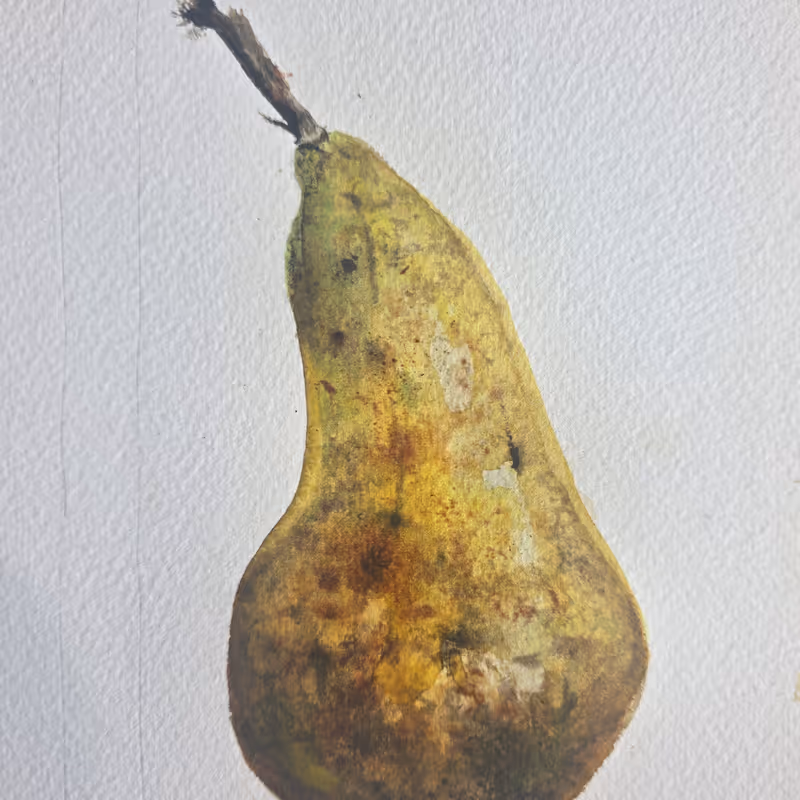 The Pear 