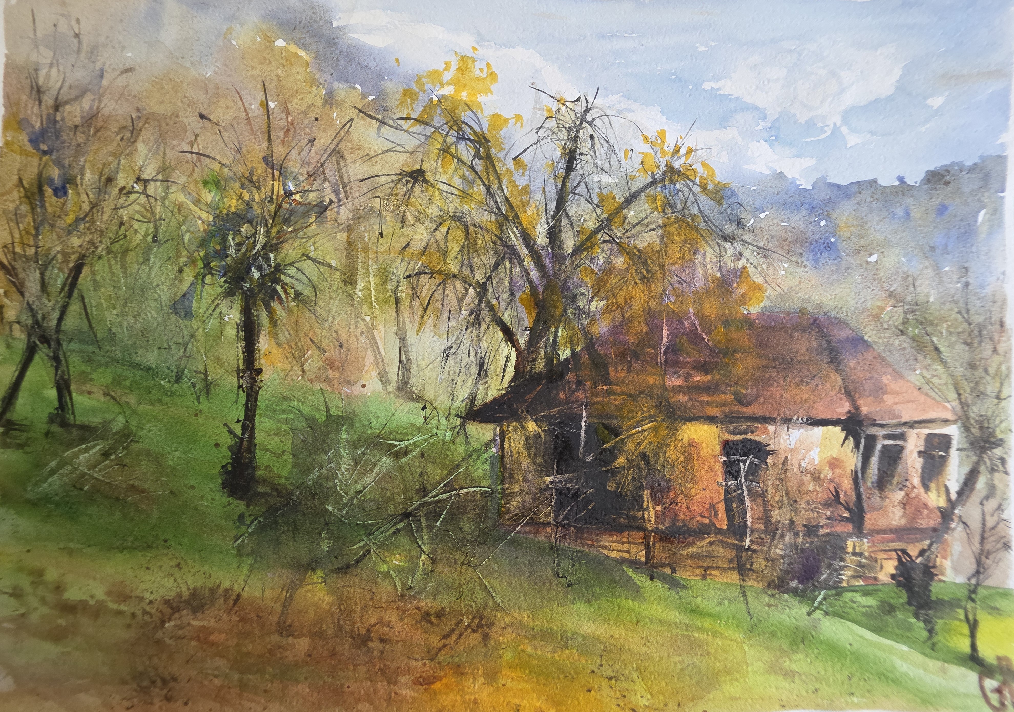 Whisper of the Hill 