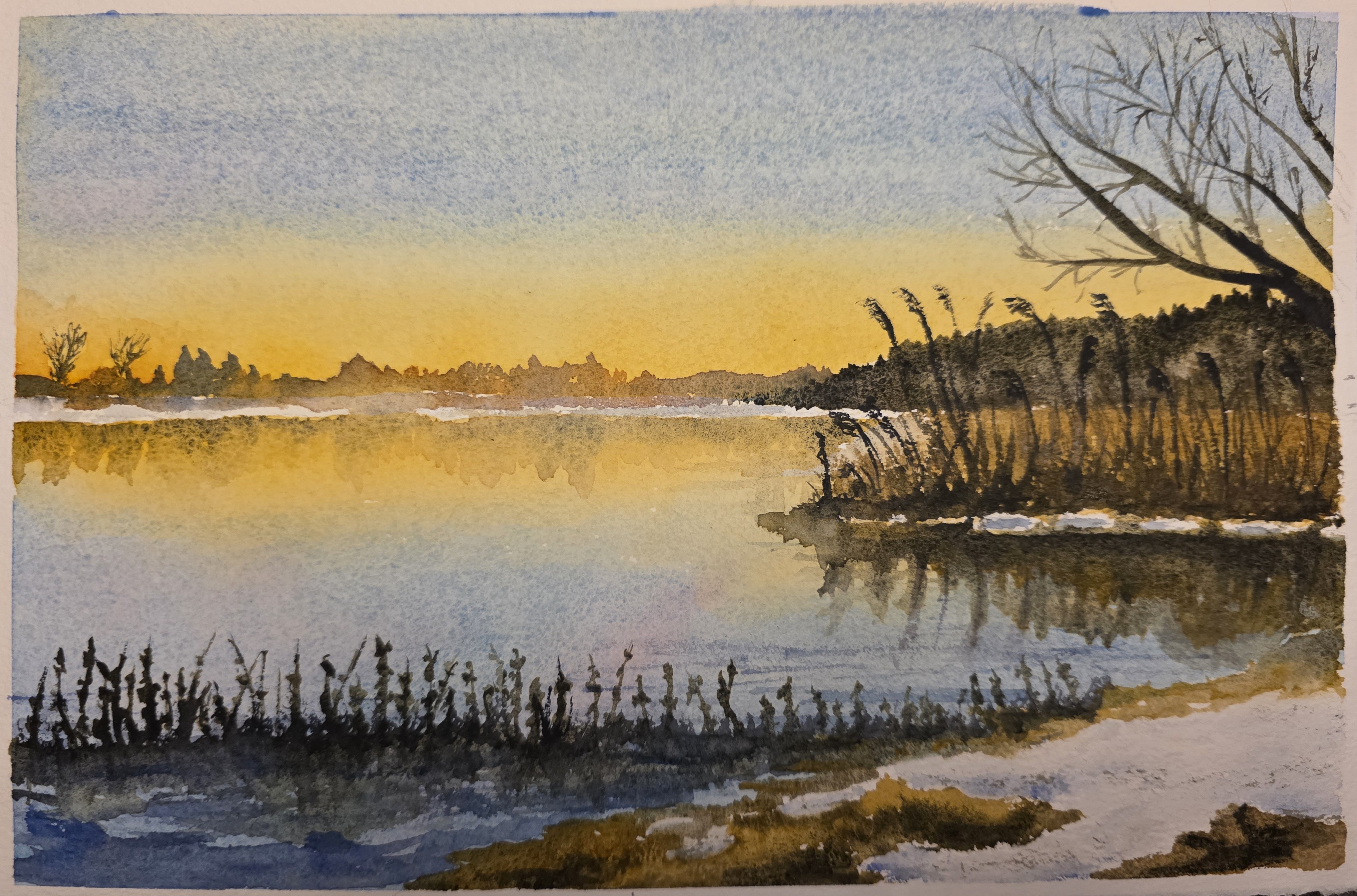 Golden Silence 