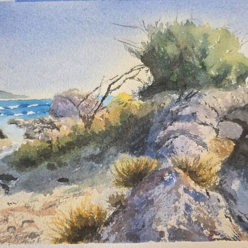 Coastal Path Study